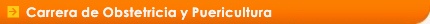 Carrera de Obstetricia y Puericultura