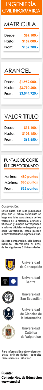 Ficha Ingenier&iacute;a Civil Inform&aacute;tica