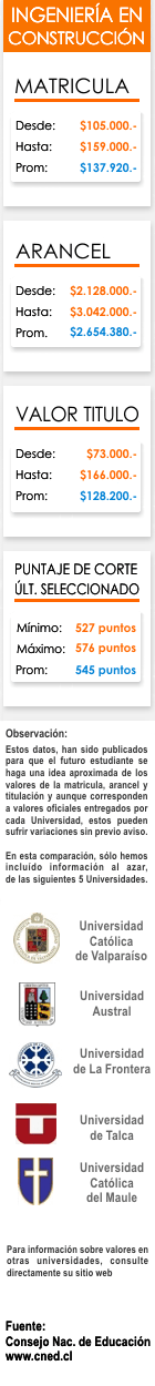 Ficha Ingenier&iacute;a en Construcci&oacute;n