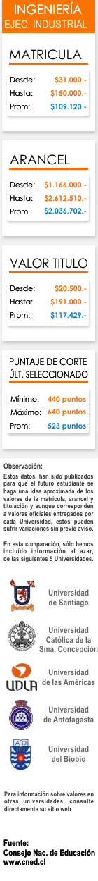 Ficha Ingenier&iacute;a en Ejecuci&oacute;n