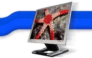 Biolog&iacute;a Marina